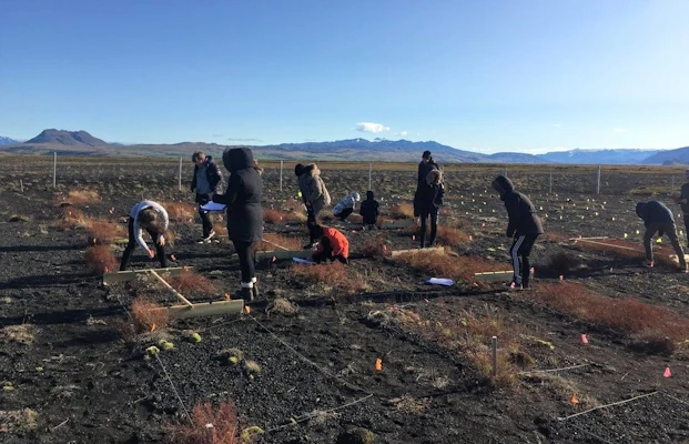 Revegetation and landcare