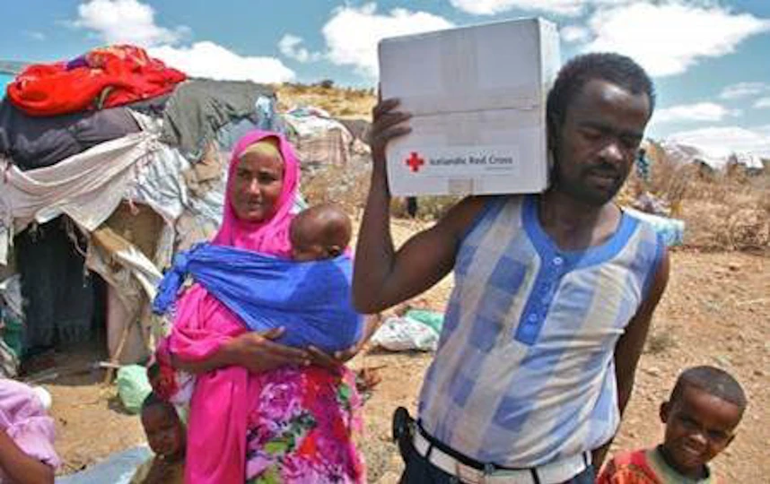 Cooperation with civil society and NGOs