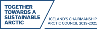 Icelandic Chairmanship logo