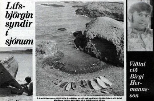 Grein og viðtal Morgunblaðsins við Birgi Hermannsson.