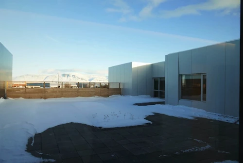 Séð út í garð