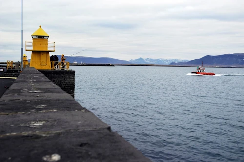 Við Reykjavíkurhöfn