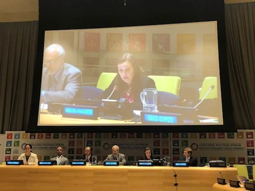 María Erla Marelsdóttir, sendiherra, á jafnréttisviðburði OECD