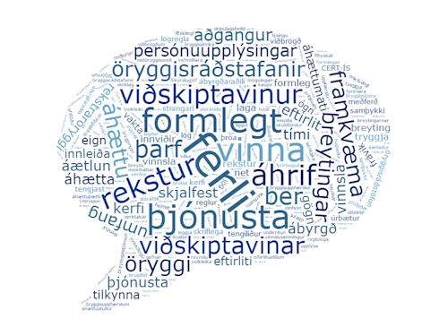 Upplýsingaöryggi