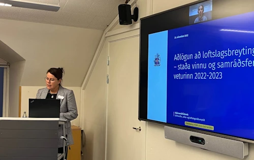 Halla Sigrún Sigurðardóttir, skrifstofustjóri Loftslagsskrifstofu, flutti erindi á vinnustofunni.