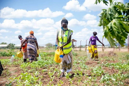 Ljósmynd: © UNHCR/Samuel Otieno