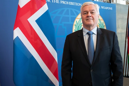 Þórður Ægir Óskarsson, sendiherra (Mynd: OPCW)