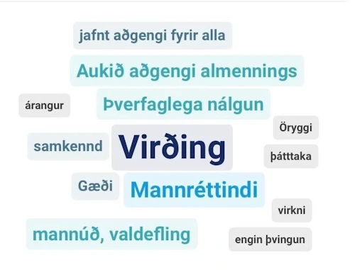 Á geðheilbrigðisþingi fyrir mótun geðheilbrigðisstefnu nefndu þátttakendur gildi sem þeir töldu mikilvæg