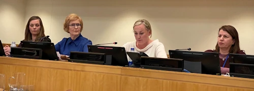 Fulltrúar Íslands á Kvennaársfundi Kvennanefndar Sameinuðu þjóðanna New York. F.v. Sonja Þorbergsdóttir formaður BSRB, Þórunn Sveinbjarnardóttir forseti Alþingis, Þorbjörg Sigríður Gunnlaugsdóttir dómsmálaráðherra og Tatjana Latinovic, formaður Kvenréttindafélags Íslands. 