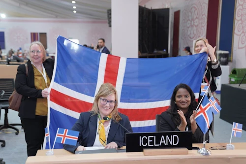  Vilhelmína Jónsdóttir sérfræðingur í  menningar-, nýsköpunar- og háskólaráðuneytinu var viðstödd fundinn fyrir hönd Íslands ásamt Rachel John frá sendiráði Íslands í Nýju Delí.