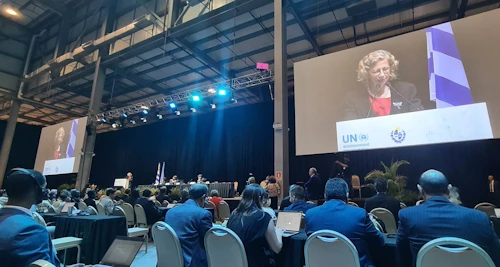 Inger Andersen, framkvæmdastýra UNEP, ávarpar þingið.