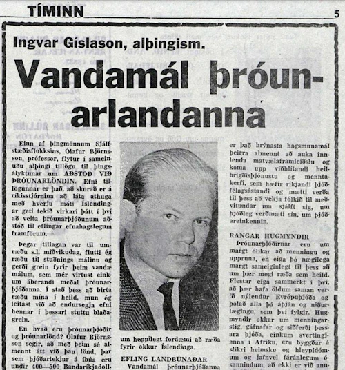 Grein Ingvars Gíslasonar í Tímanum.