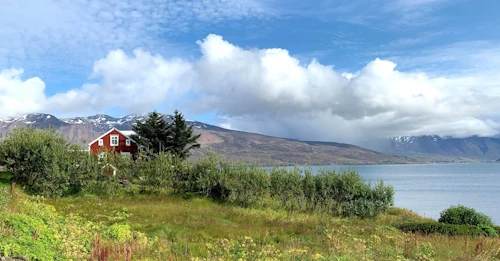 Úr Hrísey