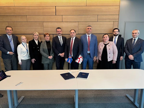 The Icelandic and Georgian delegations.