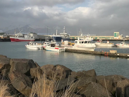 Hornafjarðarhöfn