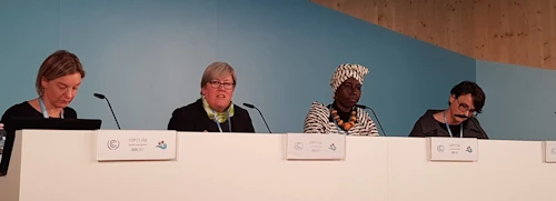 Þessar konur eru í pallborði á ráðstefnunni, Tara Shine, Rachel Kyte, Sheila Oparocha og Ragna Árnadóttir.