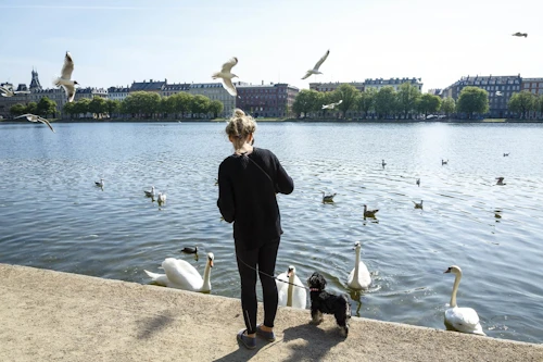 Saman við Tjörnina