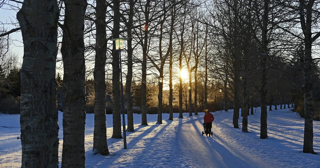 {image.Description}