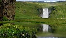 {image.Description}