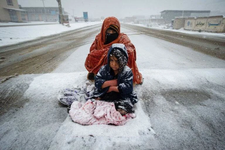 {image.Description}