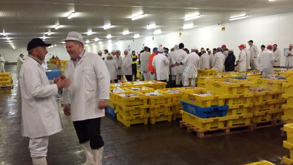 Á fiskmarkaðnum Á fiskmarkaðnum