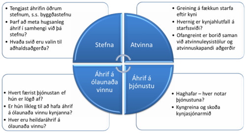Sjónarhorn kynjaáhrifa Stefna, atvinna, áhrif á ólaunaða vinnu, áhrif á þjónustu. Stefna: Tengjast áhrifin öðrum stefnum, s.s. byggðastefnu? Þarf að meta hugsanleg áhrif í samhengi við þá stefnu? Hvaða svið eru valin til aðhaldsaðgerða? Atvinna: Greining á fækkun stafa eftir kyni. Hvernig er kynjahlutfall á starfssviði? Ofangreint er borið saman við atvinnuleysistölur og atvinnuskapandi aðgerðir. Áhrif á ólaunaða vinnu: Hvert færist þjónusta ef hun er lögð af? Er hún líkleg til að hafa áhrif á ólaunaða vinnu kynjanna? Hver eru heildaráhrif á ólaunaða vinnu? Áhrif á þjónustu: Haghafar - hver notar þjónustuna? Kyngreina og skoða kynjasjónarmið.