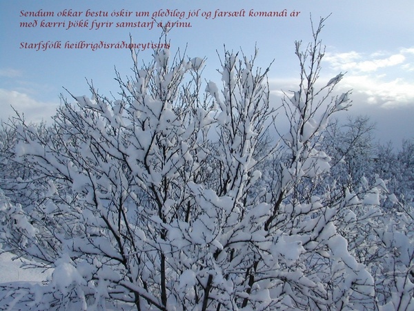Jólakveðja 2010 Jólakveðja 2010